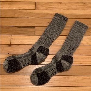 2 pairs! Icebreaker Mountaineer Exp. Sock Mens L